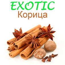 Ароматизатор Exotic Кориця