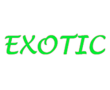 Exotic